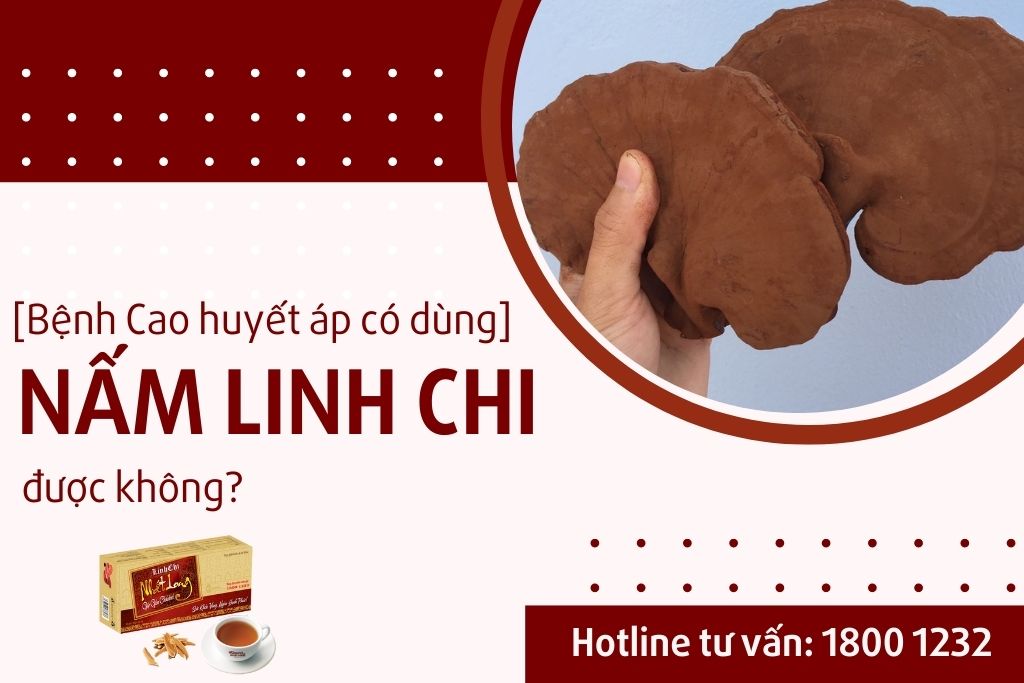 Huyết áp cao có sử dụng nấm linh chi được không?